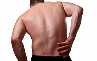 The cause of back pain